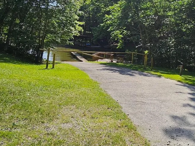 a view of a park with large trees