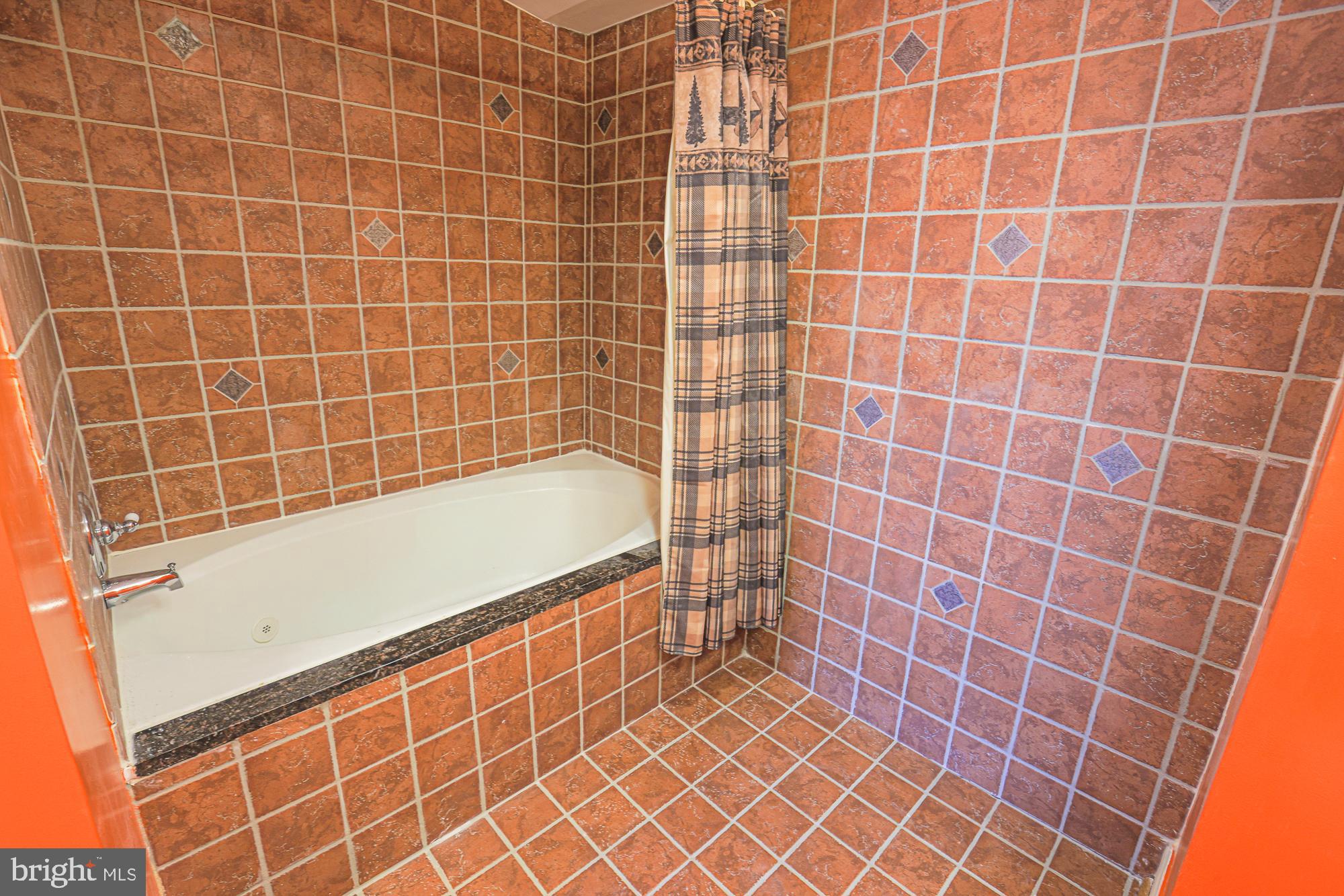 1447 William Street Baltimore, MD 21230 - Photo 62 of 72 a bathroom with a bathtub