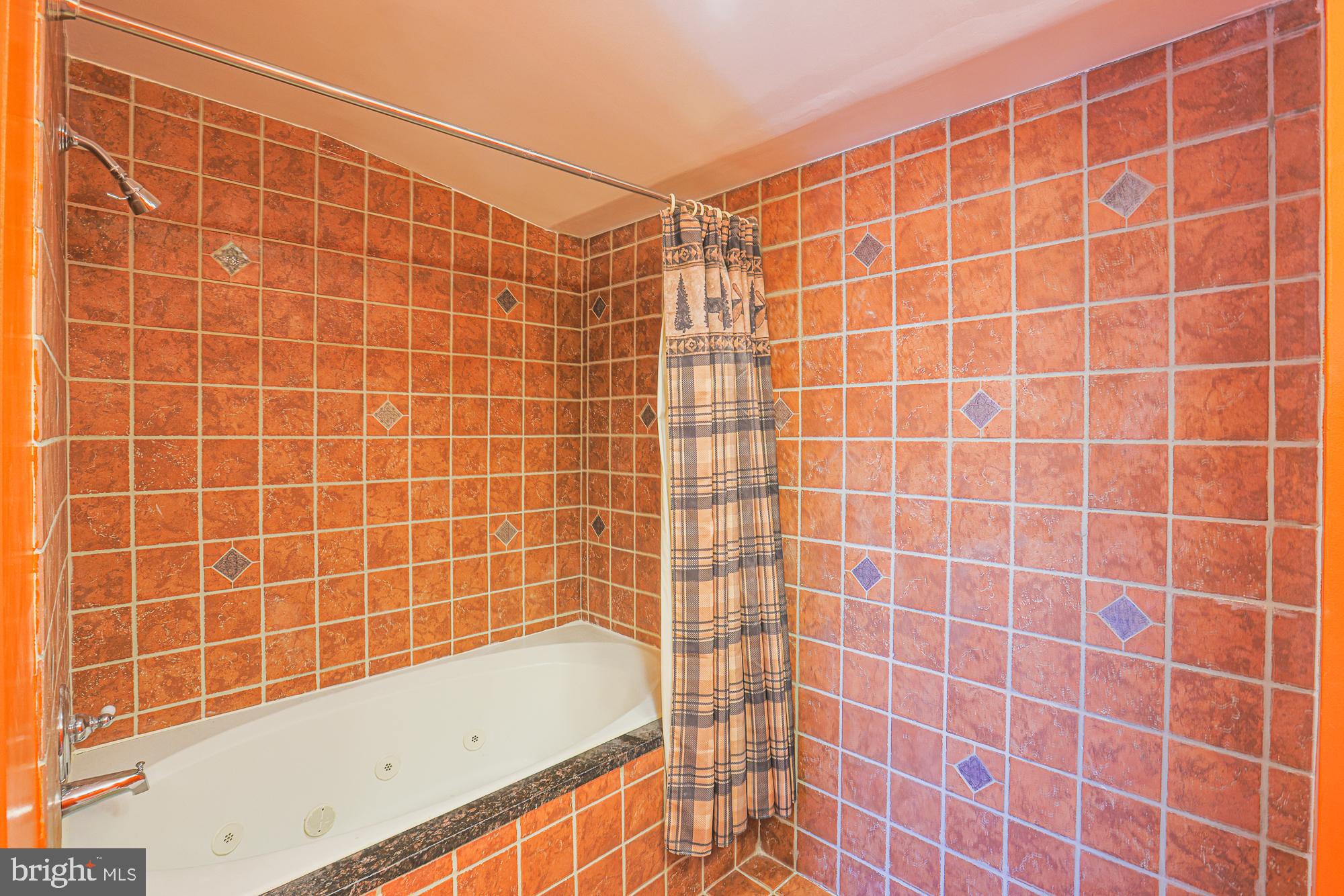 1447 William Street Baltimore, MD 21230 - Photo 63 of 72 a bathroom with a bathtub