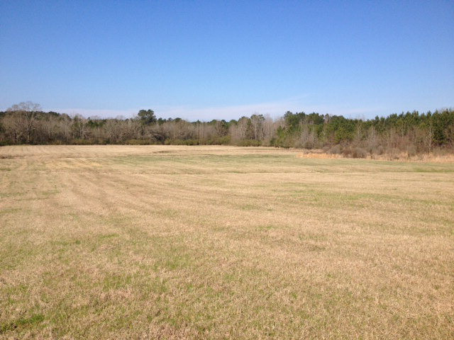 X Peterson Road Smithdale, MS 39664 - Photo 1 of 1 Main View