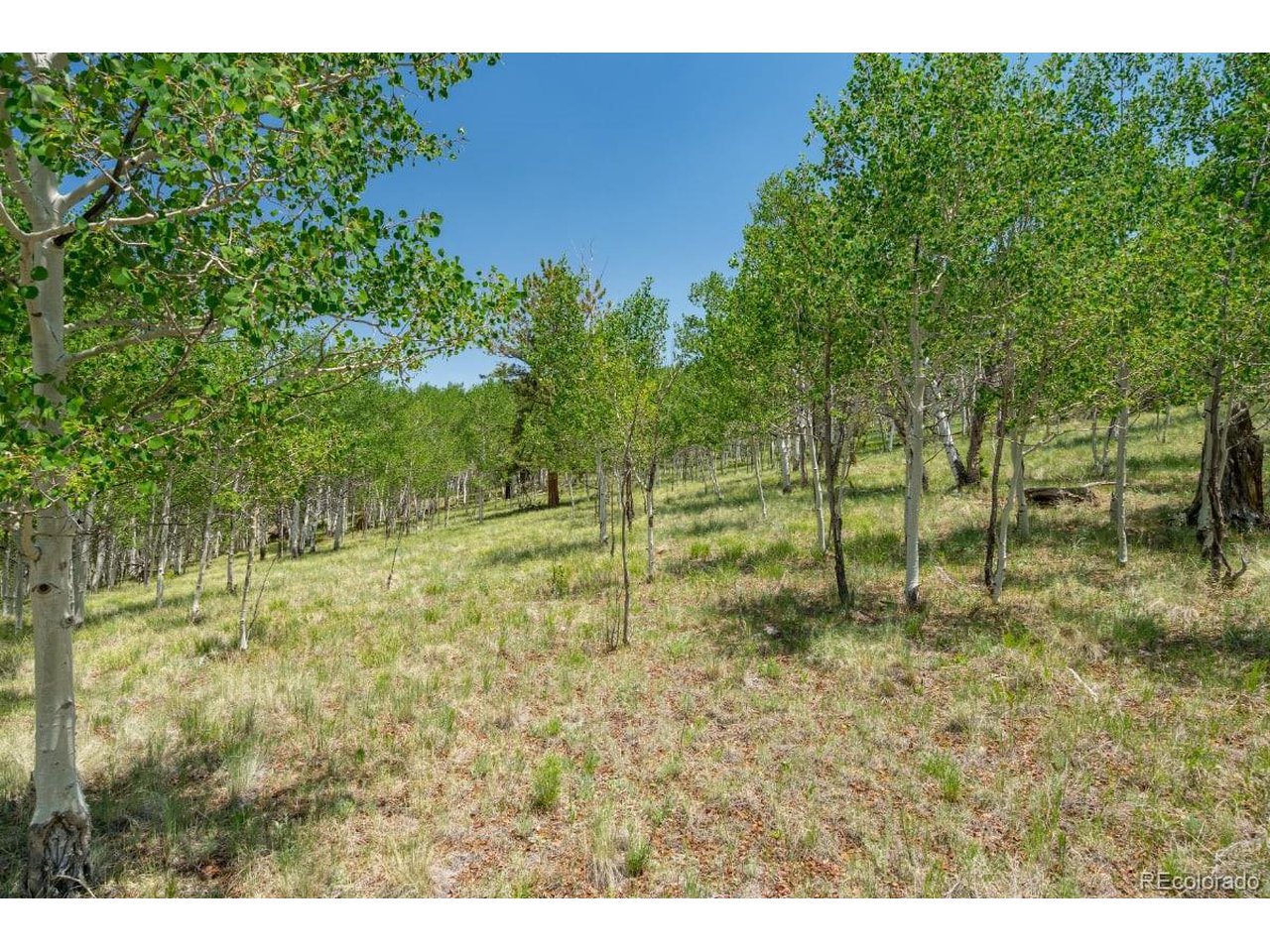 2167 Caddo Road Hartsel, CO 80449 - Photo 8 of 16 Gallery Image 8