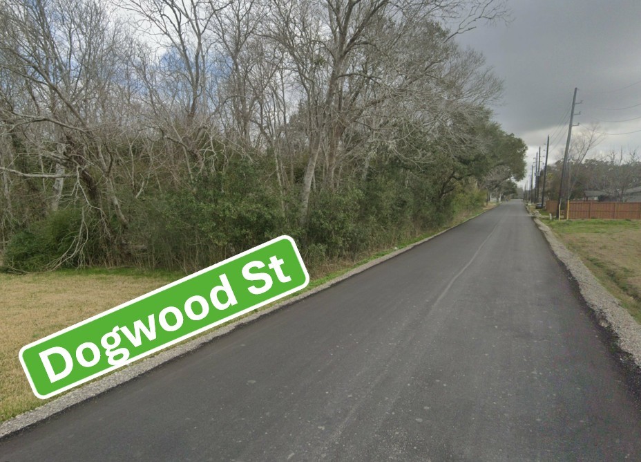 0 Dogwood Street Manvel, TX 77578 - Photo 7 of 8 a view of a street with trees in front of it
