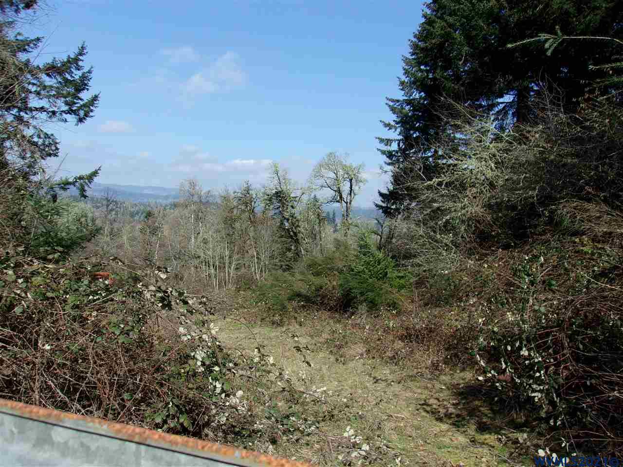 18330 Frost Road Dallas, OR 97338 - Photo 2 of 5 a view of a forest with trees in the background