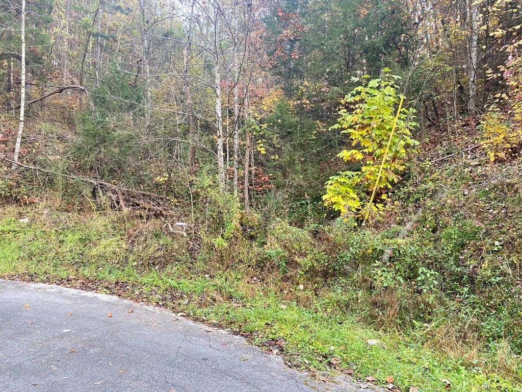 0 Maples Branch Road Sevierville, TN 37876 - Photo 5 of 9