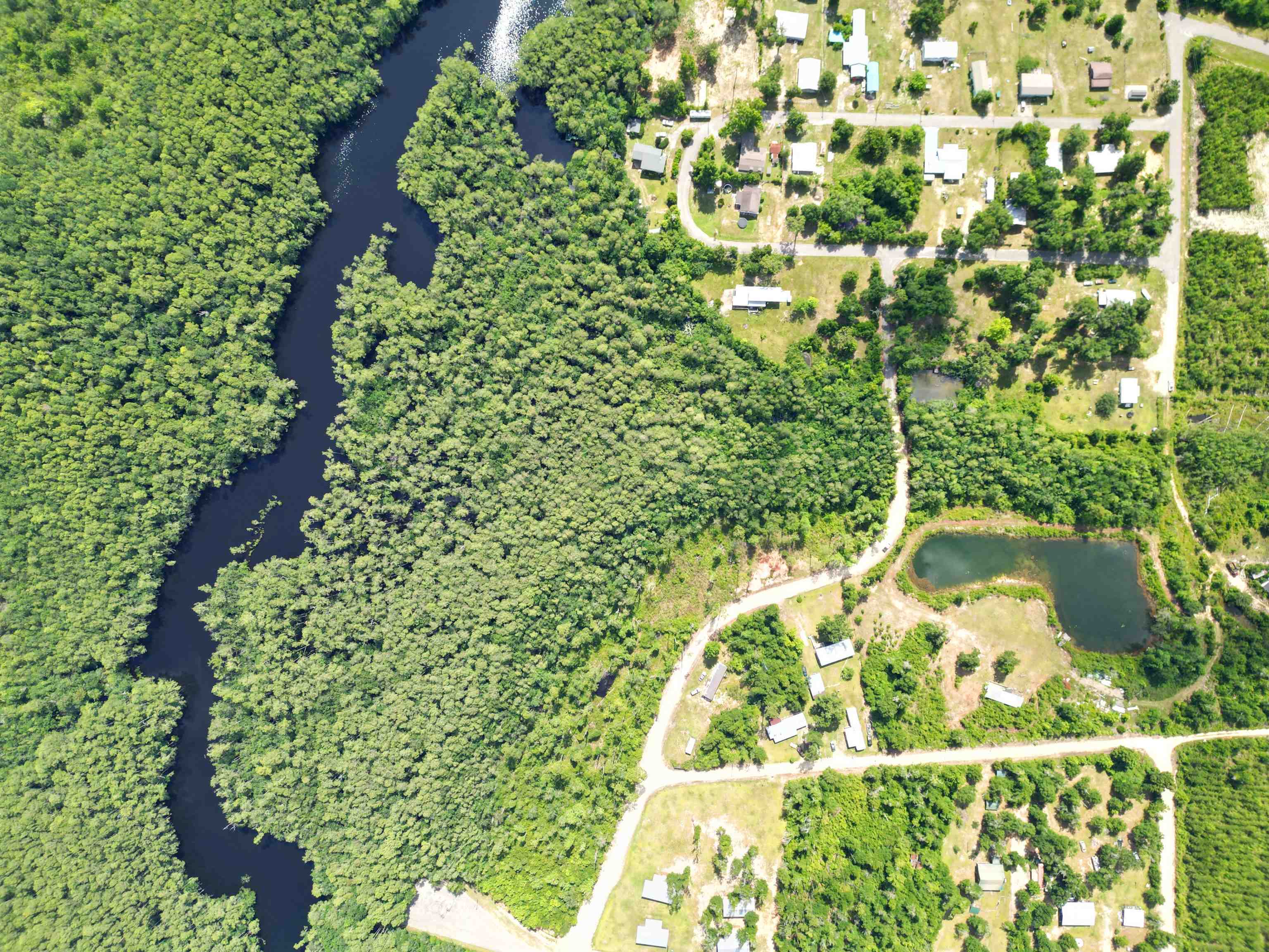 Tbd Southeast Tbd Se Mcclellan Street Wewahitchka, FL 32449 - Photo 2 of 6