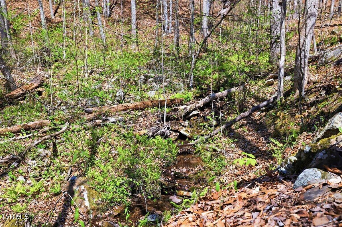 155 Barker Road Rogersville, TN 37857 - Photo 38 of 50 38-155_Barker_Rd_025