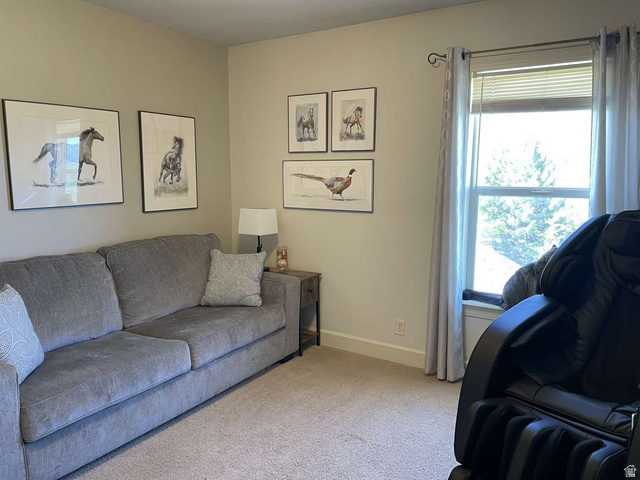 7030 West 2100 North Mendon, UT 84325 - Photo 40 of 67 Neutral-toned walls complement plush carpet flooring