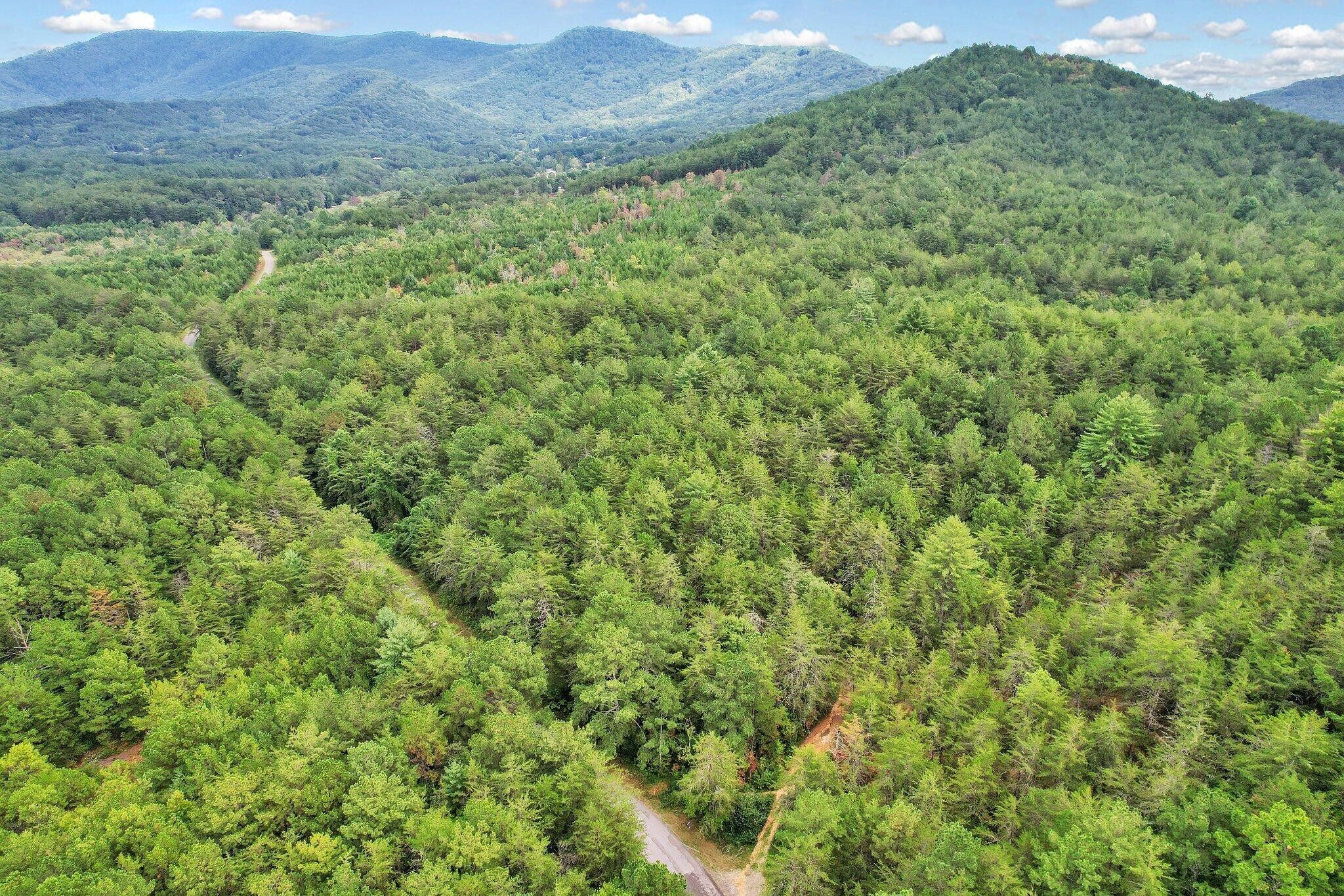 0 Golf Course Road Copperhill, TN 37317 - Photo 6 of 7