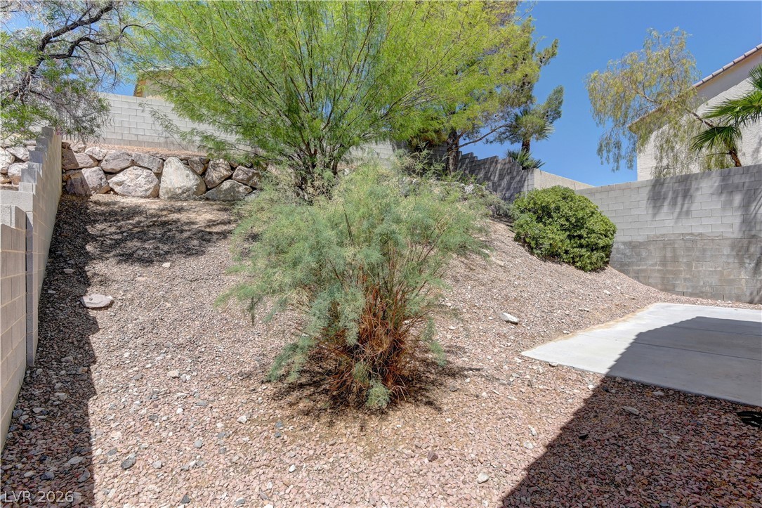 4613 Rising Cove Street Las Vegas, NV 89129 - Photo 18 of 20 This outdoor space offers a natural landscape with vibrant greenery and a private yard.