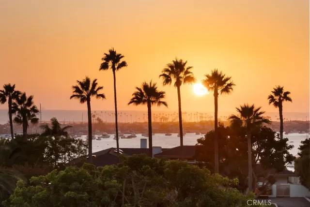 a view of beach and palm trees