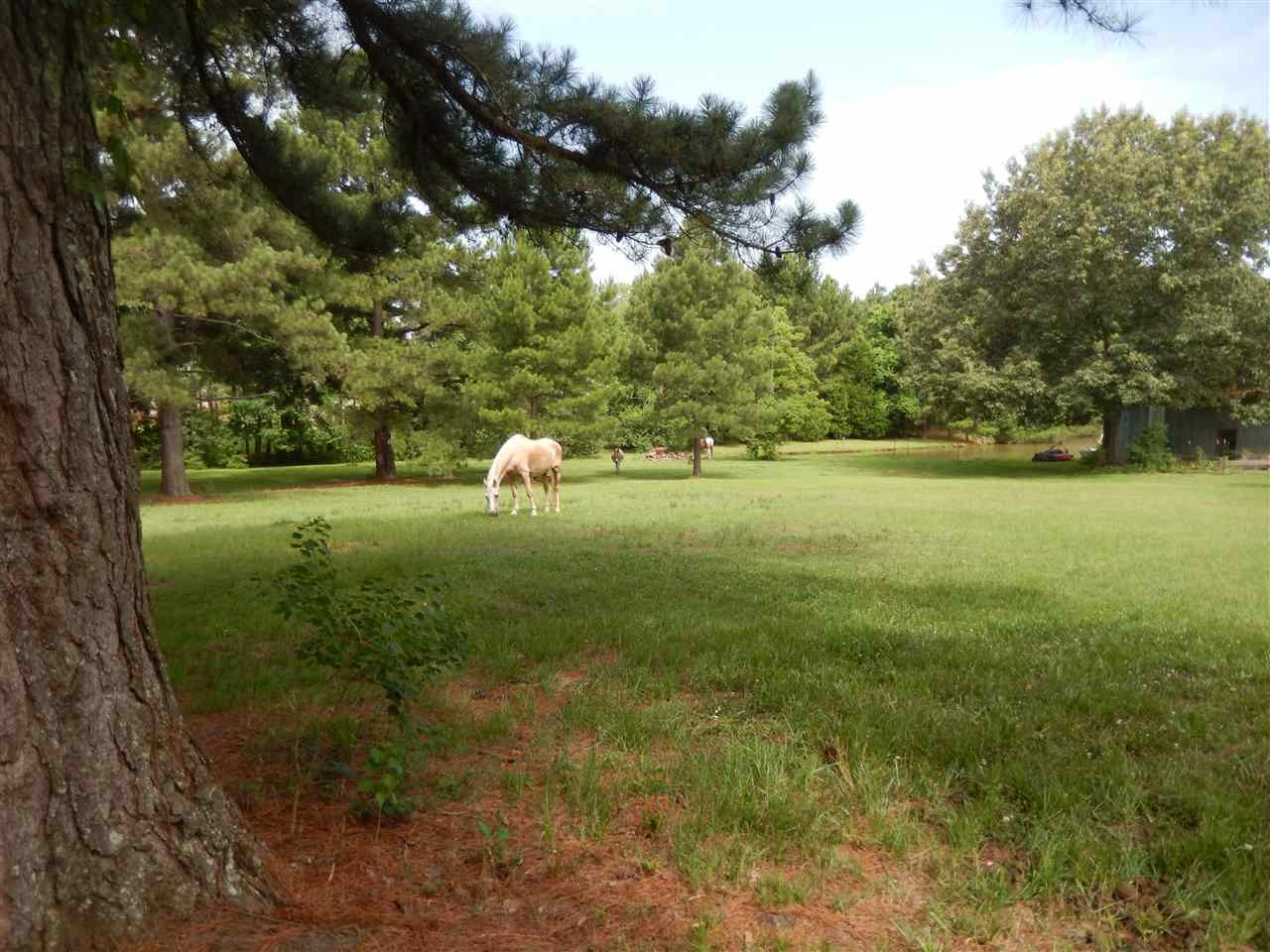 409 North Old Canton Road Madison, MS 39110 - Photo 2 of 35 Photo 2