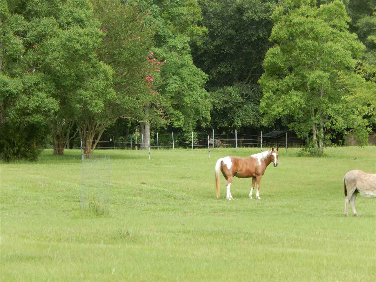 409 North Old Canton Road Madison, MS 39110 - Photo 3 of 35 Photo 3