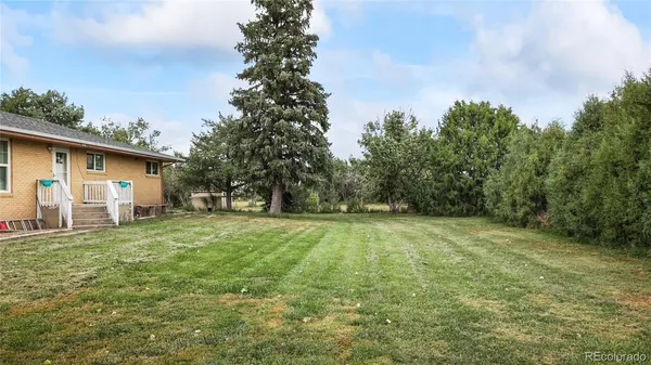 a view of a backyard with a garden