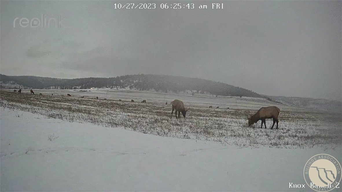 0 Joliet Road Columbus, MT 59019 - Photo 10 of 19 Gallery Image 10