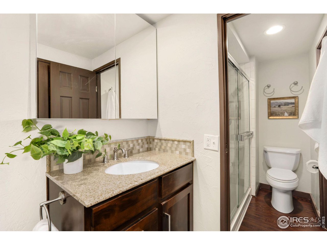 415 South Howes Street, Unit 910 Fort Collins, CO 80521 - Photo 16 of 28 a bathroom with a sink vanity and a toilet