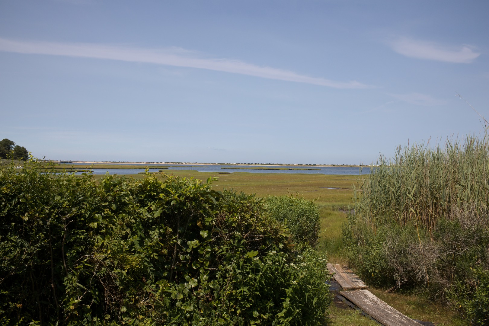 49 The Boulevard Edgartown, MA 02539 - Photo 18 of 49 Gallery Image 18