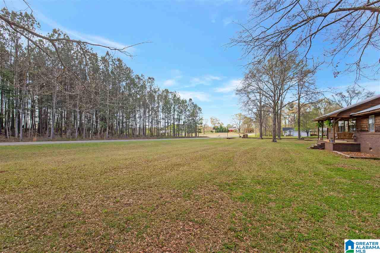 10780 Grist Mill Road Childersburg, AL 35044 - Photo 23 of 25