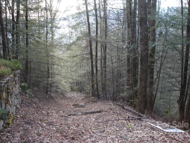 Lot 0 Bent Tree Road Maggie Valley, NC 28751 - Photo 1 of 1 a view of a forest that has large trees