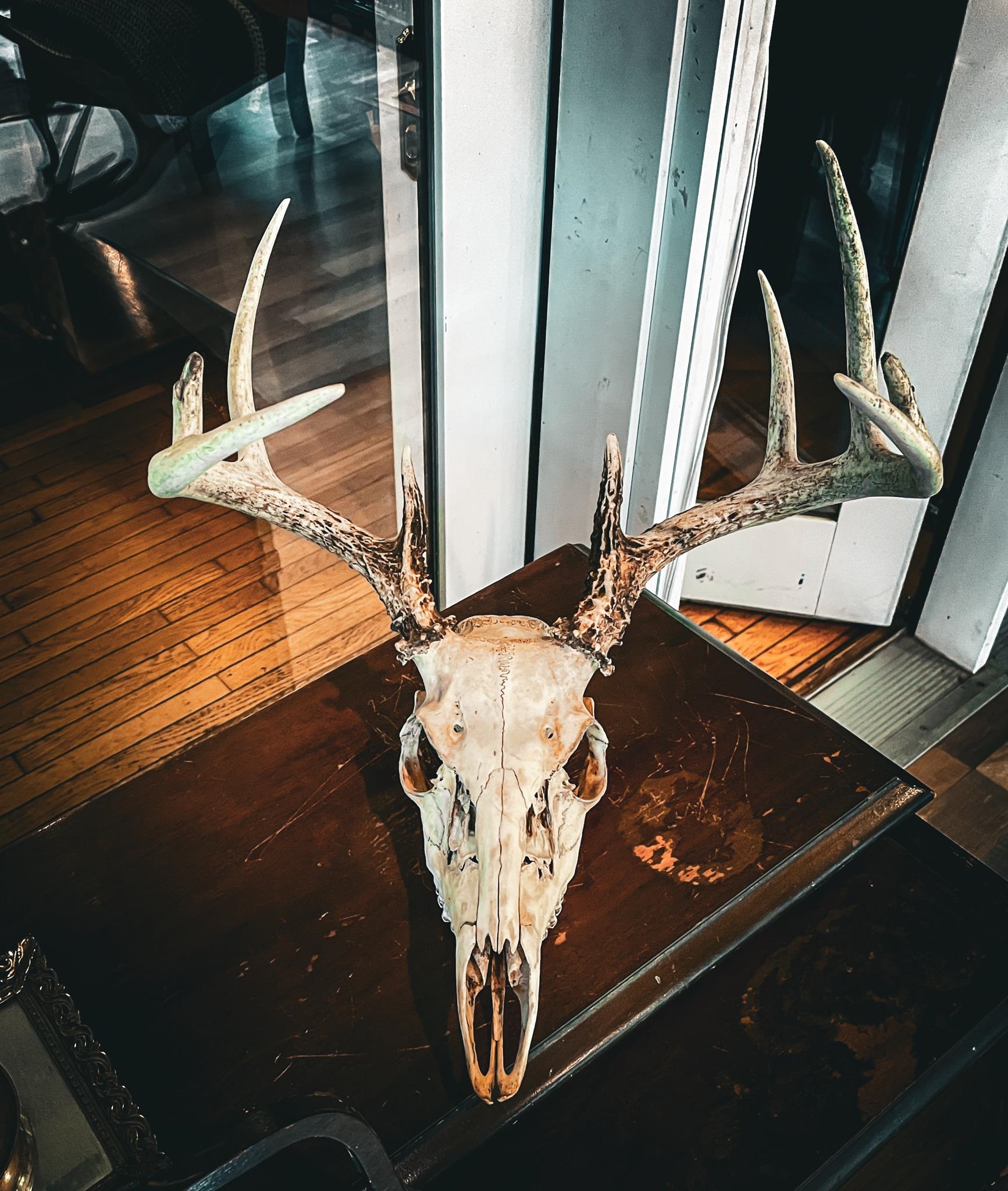 9205 Woehrle Lane Marshfield, WI 54449 - Photo 27 of 79