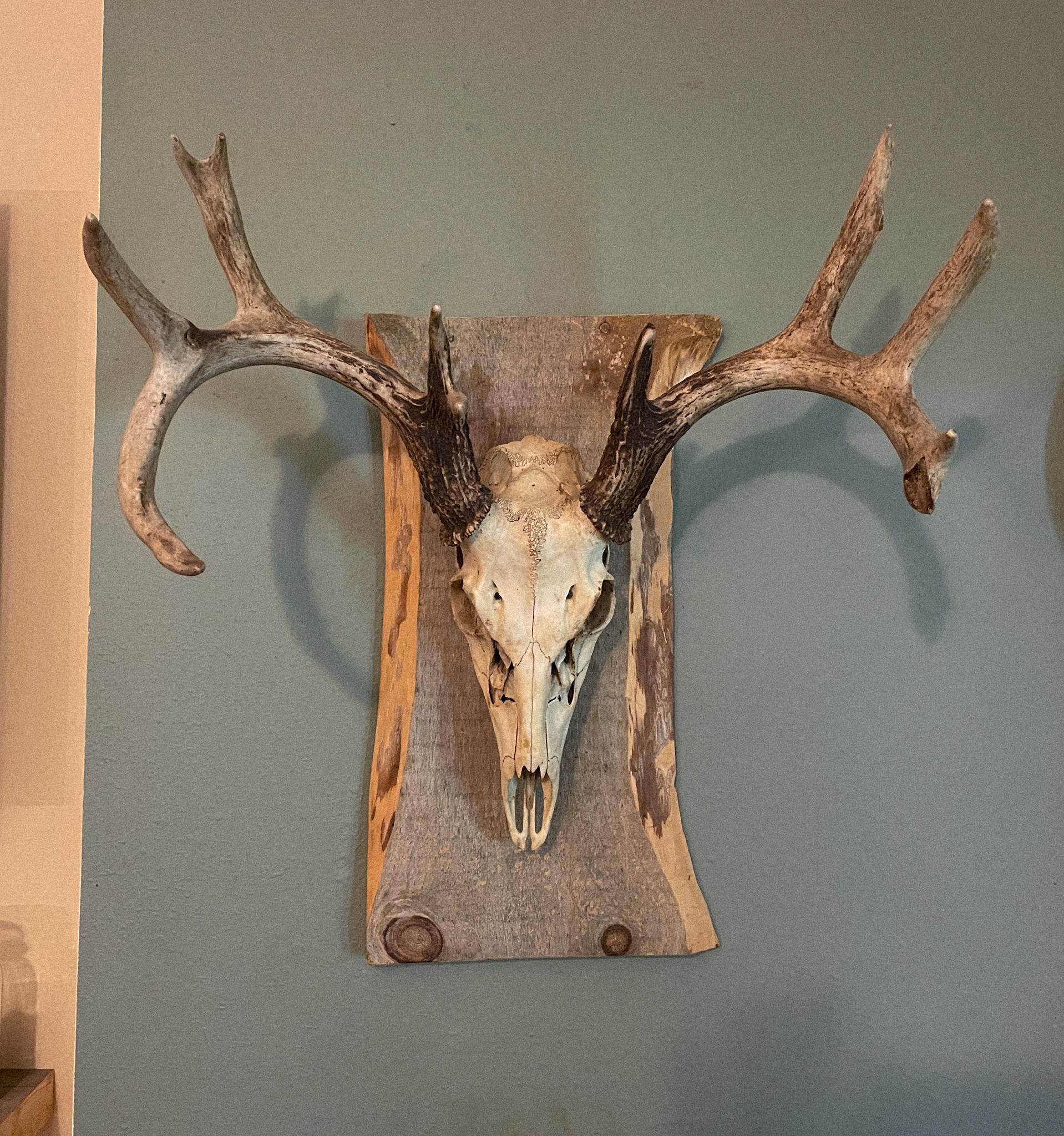 9205 Woehrle Lane Marshfield, WI 54449 - Photo 28 of 79