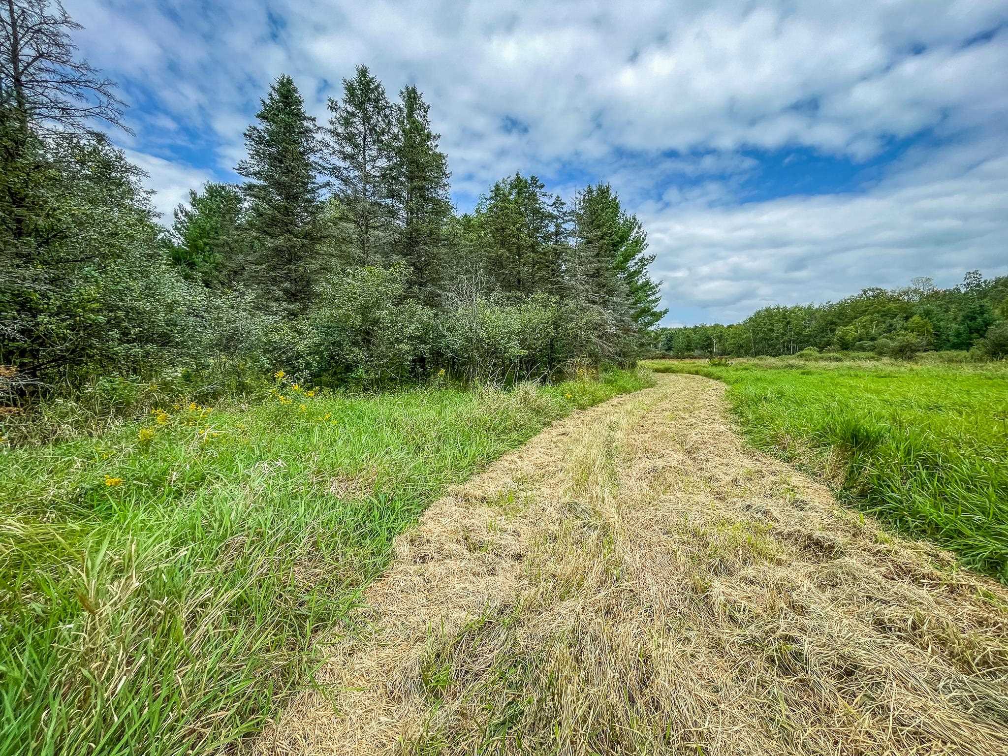 9205 Woehrle Lane Marshfield, WI 54449 - Photo 29 of 79