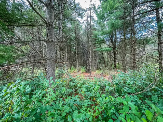 $489,900 | 9205 Woehrle Lane, Marshfield, WI 54449