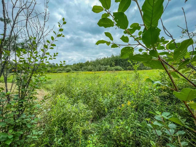 $489,900 | 9205 Woehrle Lane, Marshfield, WI 54449