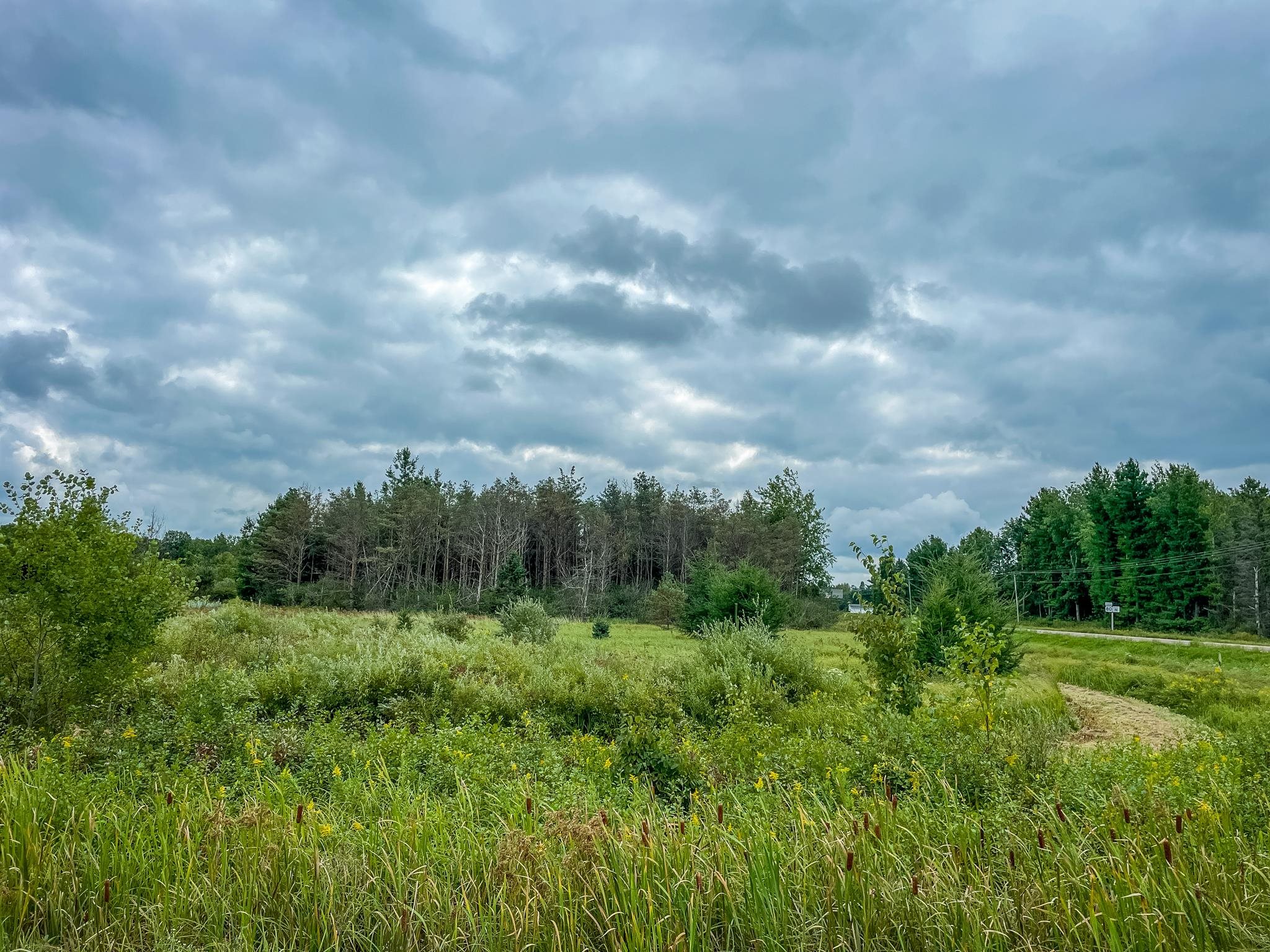 9205 Woehrle Lane Marshfield, WI 54449 - Photo 34 of 79