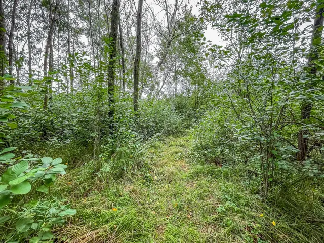 $489,900 | 9205 Woehrle Lane, Marshfield, WI 54449