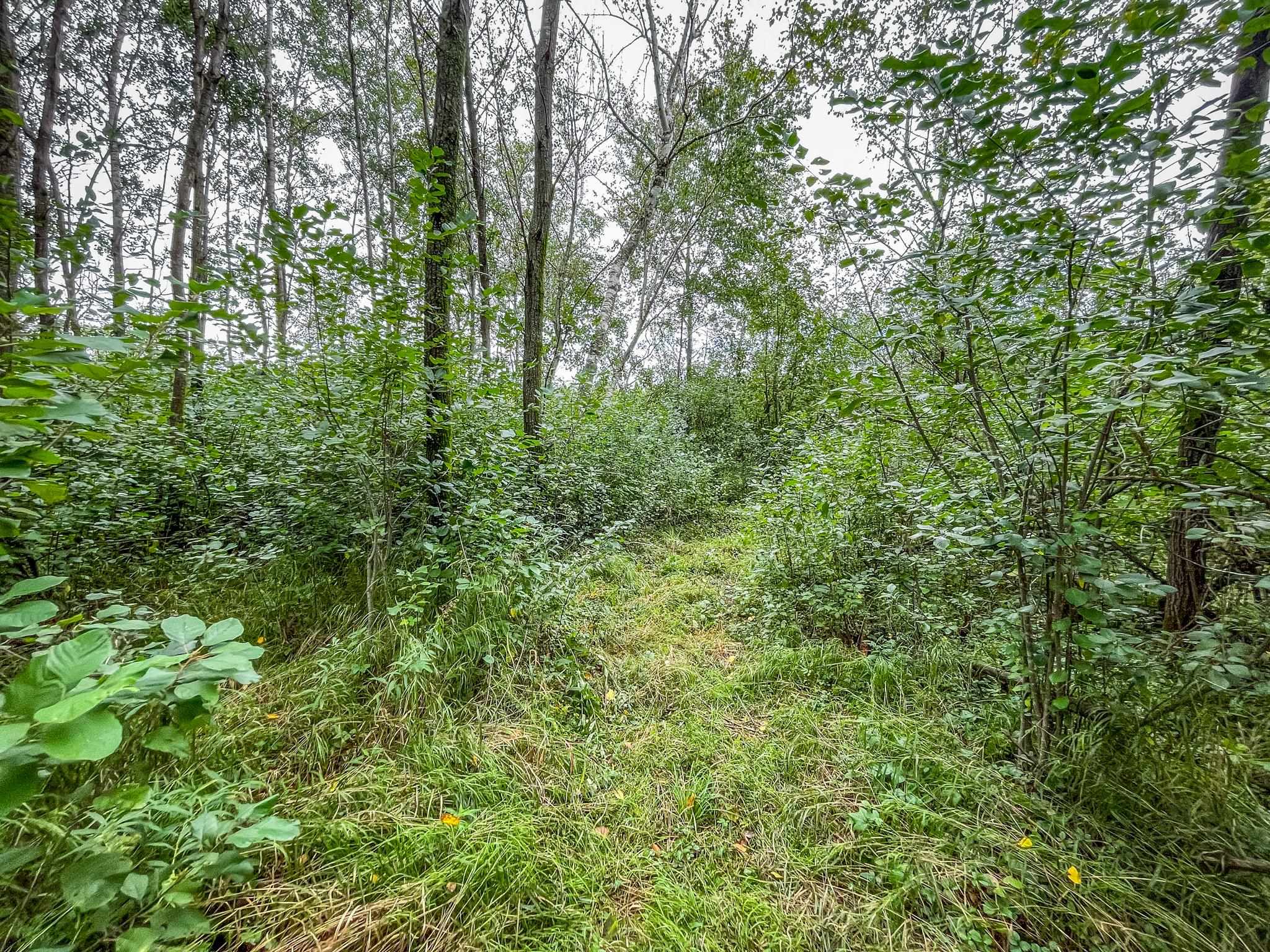 9205 Woehrle Lane Marshfield, WI 54449 - Photo 35 of 79