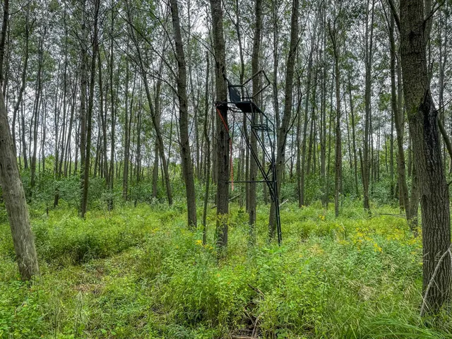 $489,900 | 9205 Woehrle Lane, Marshfield, WI 54449