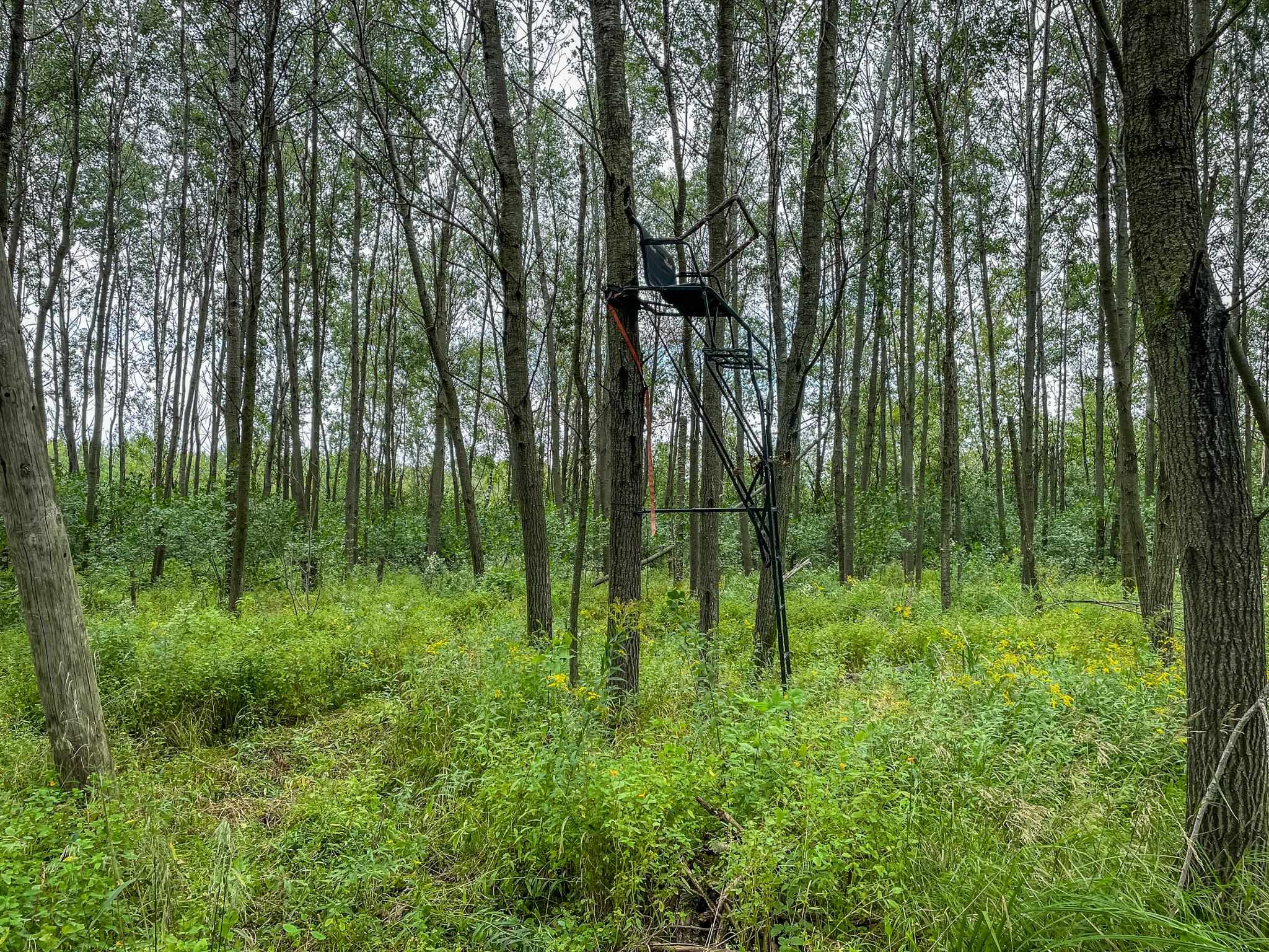 9205 Woehrle Lane Marshfield, WI 54449 - Photo 36 of 79