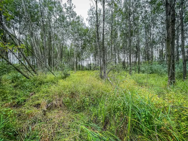 $489,900 | 9205 Woehrle Lane, Marshfield, WI 54449