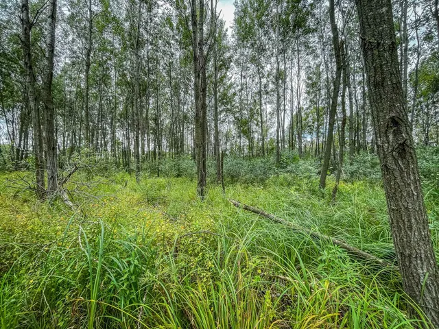 $489,900 | 9205 Woehrle Lane, Marshfield, WI 54449