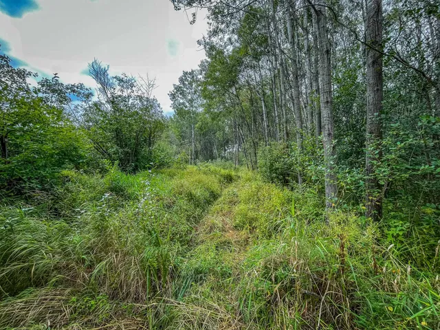 $489,900 | 9205 Woehrle Lane, Marshfield, WI 54449