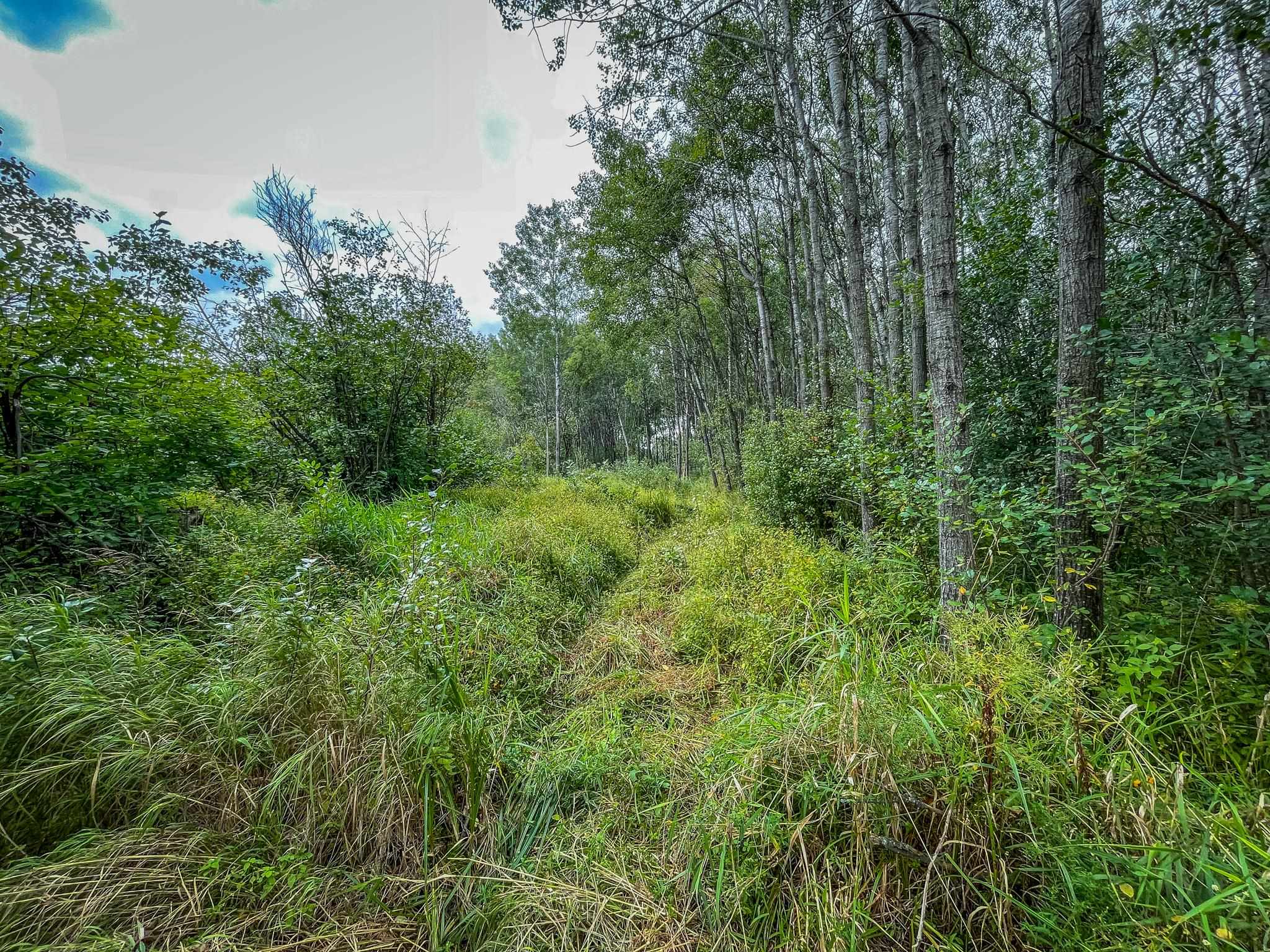9205 Woehrle Lane Marshfield, WI 54449 - Photo 40 of 79