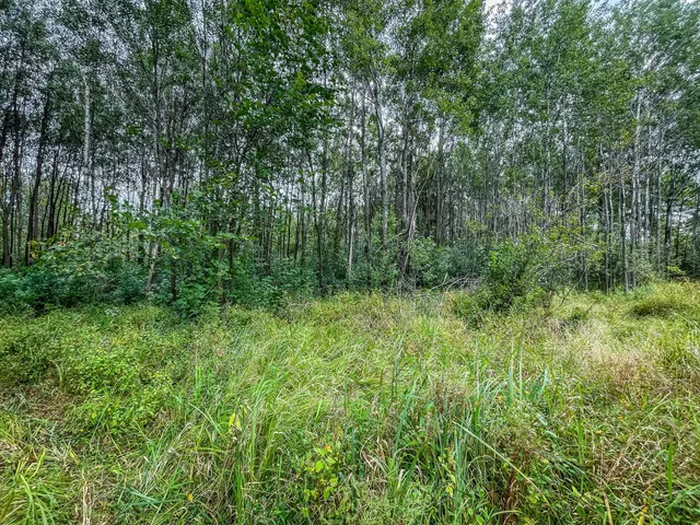 $489,900 | 9205 Woehrle Lane, Marshfield, WI 54449