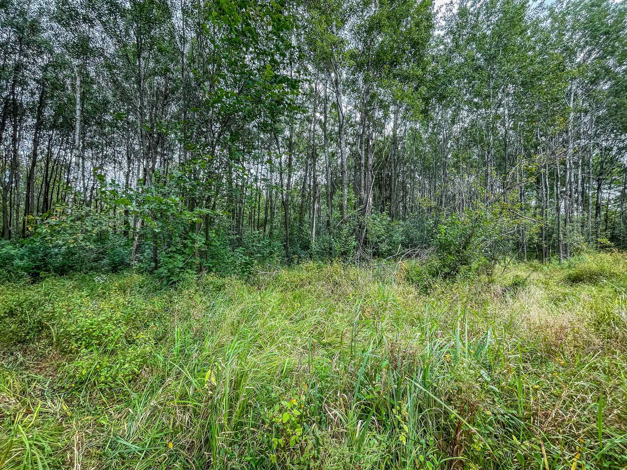 9205 Woehrle Lane Marshfield, WI 54449 - Photo 41 of 79