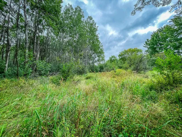 $489,900 | 9205 Woehrle Lane, Marshfield, WI 54449