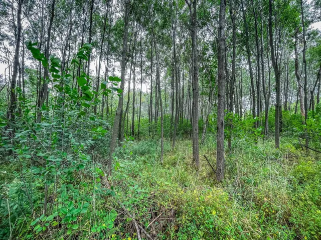 $489,900 | 9205 Woehrle Lane, Marshfield, WI 54449