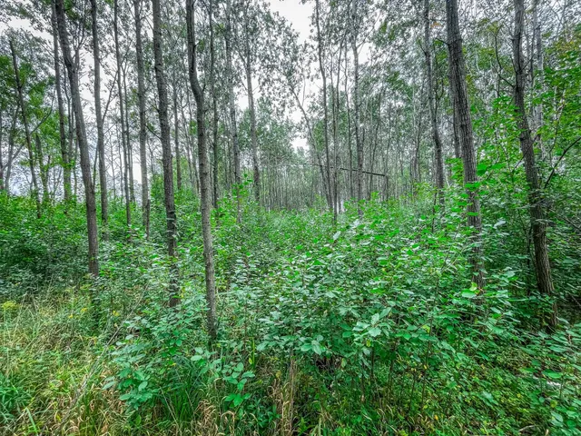 $489,900 | 9205 Woehrle Lane, Marshfield, WI 54449