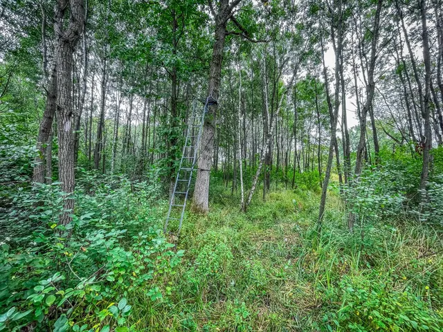 $489,900 | 9205 Woehrle Lane, Marshfield, WI 54449