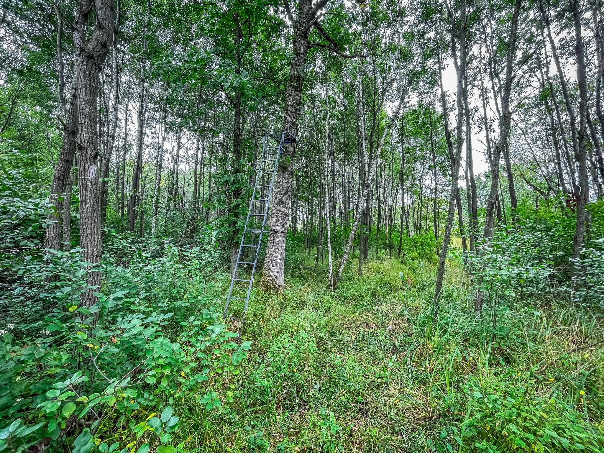 9205 Woehrle Lane Marshfield, WI 54449 - Photo 45 of 79