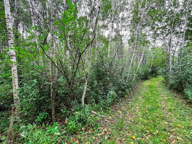 $489,900 | 9205 Woehrle Lane, Marshfield, WI 54449