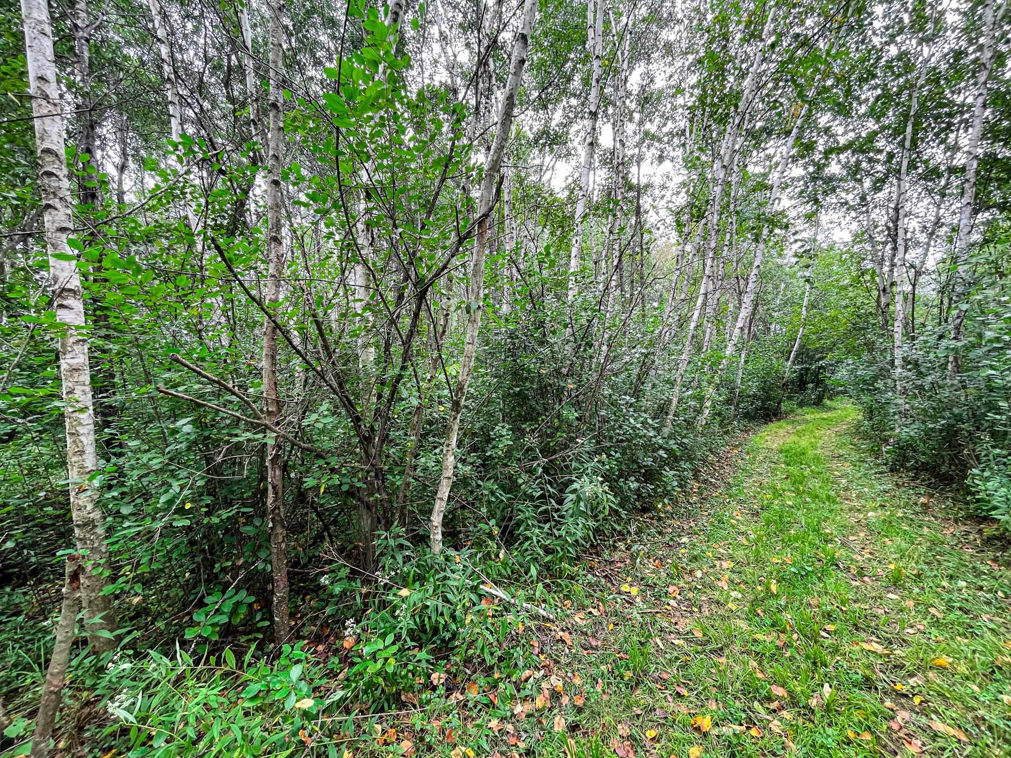 9205 Woehrle Lane Marshfield, WI 54449 - Photo 48 of 79