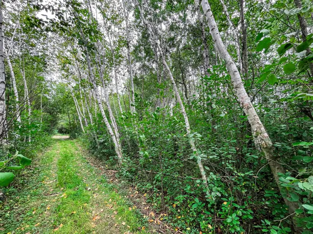 $489,900 | 9205 Woehrle Lane, Marshfield, WI 54449