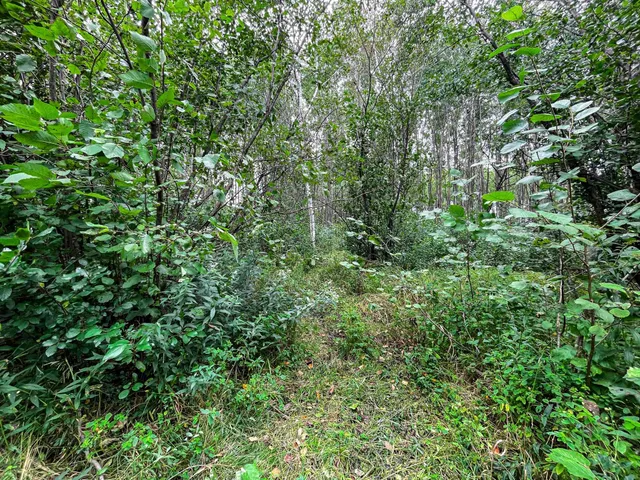 $489,900 | 9205 Woehrle Lane, Marshfield, WI 54449