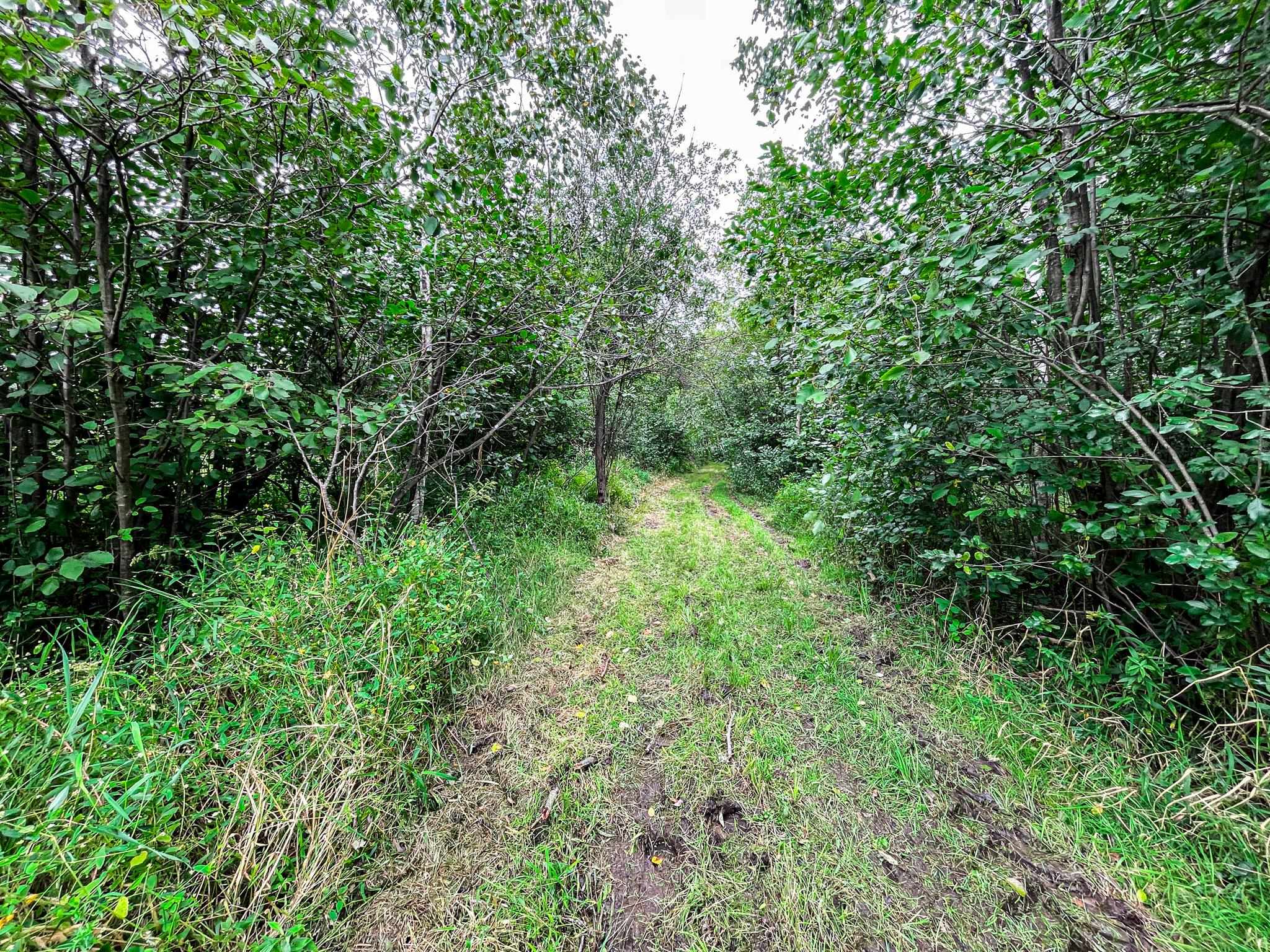 9205 Woehrle Lane Marshfield, WI 54449 - Photo 51 of 79