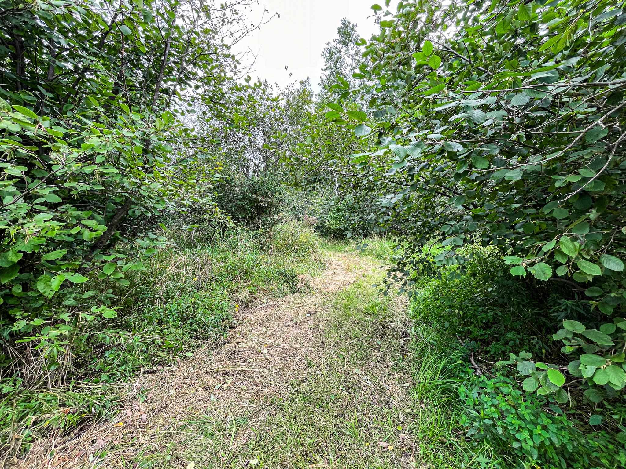 9205 Woehrle Lane Marshfield, WI 54449 - Photo 52 of 79