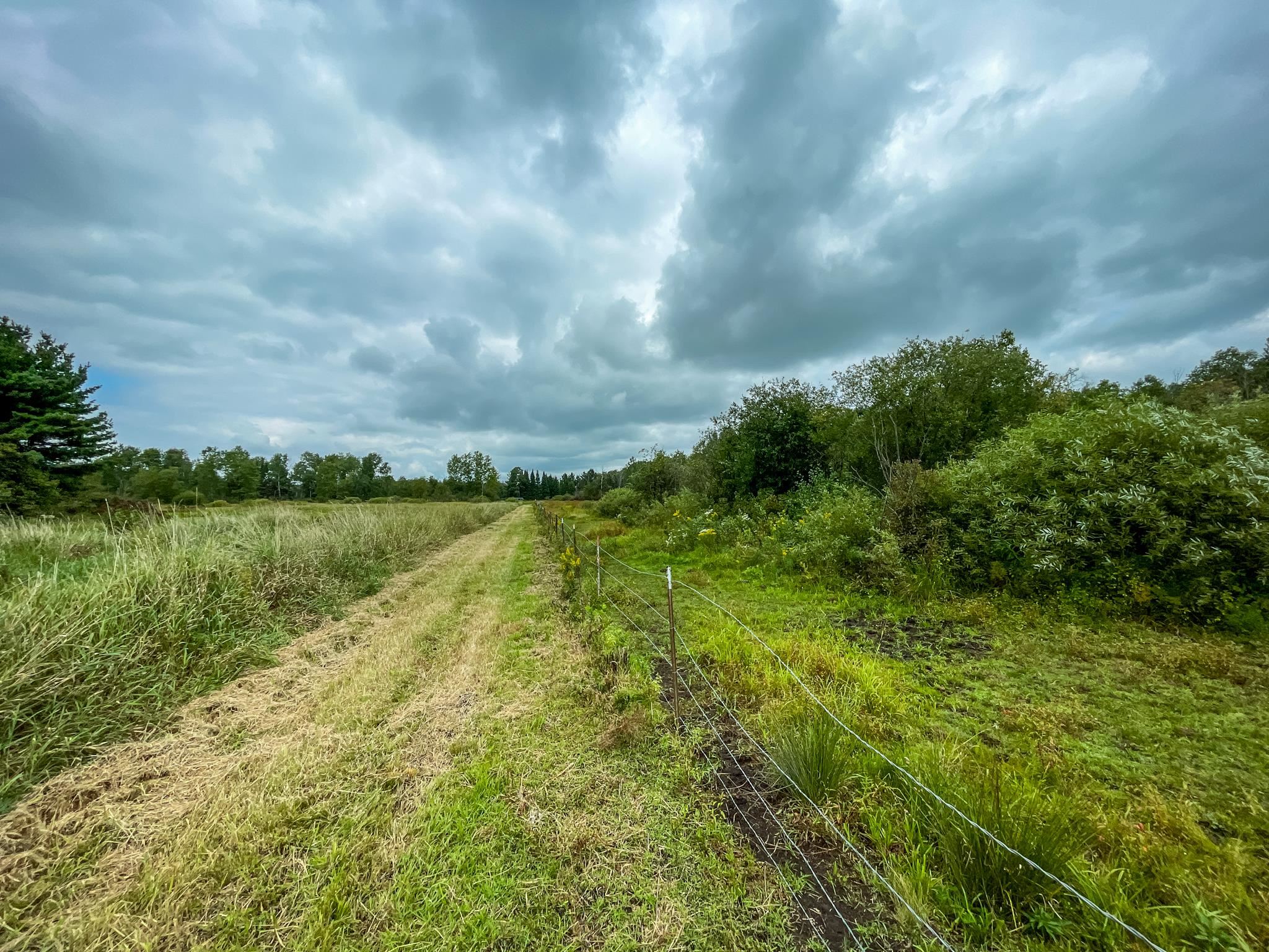 9205 Woehrle Lane Marshfield, WI 54449 - Photo 54 of 79